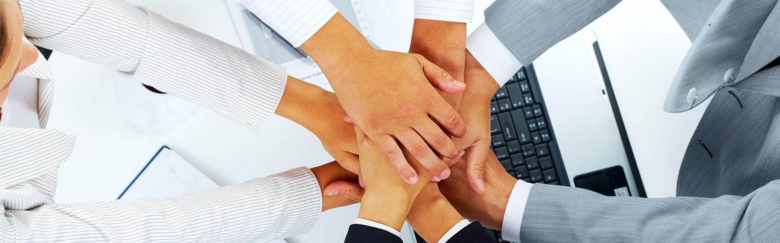 Joint Ventures & Strategic Alliances