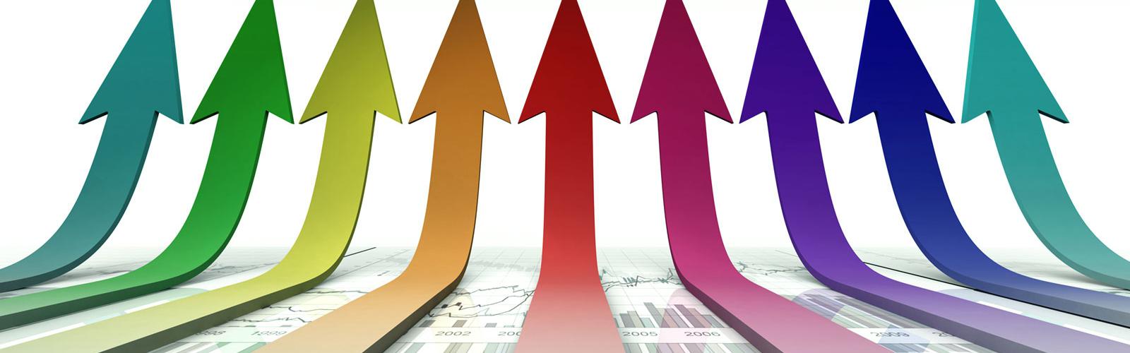 Sales & Marketing Support